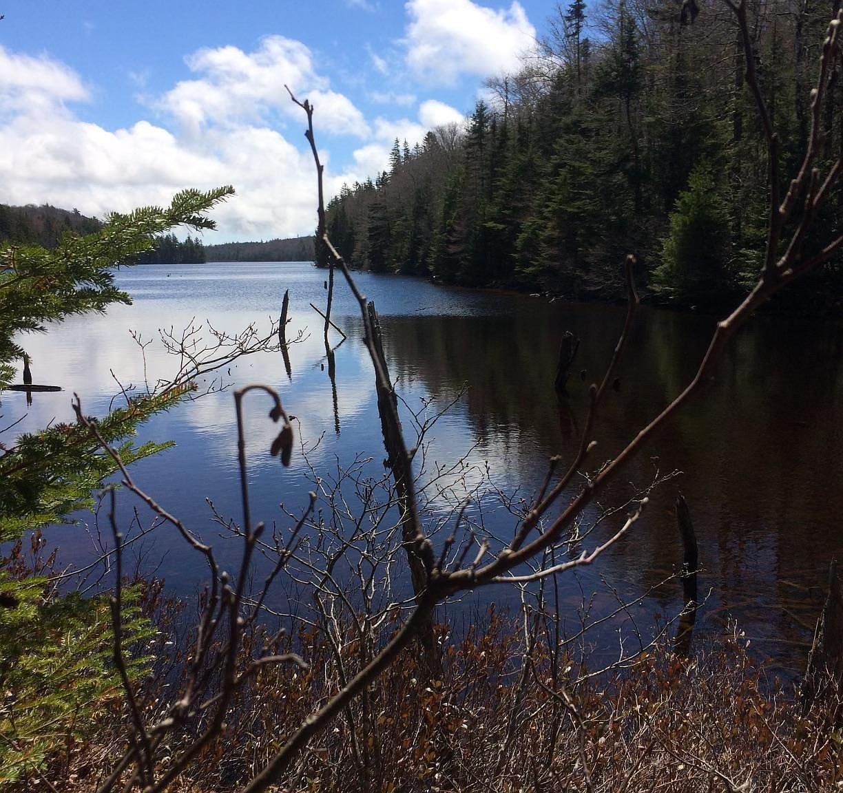 409 Highway 224, Sheet Harbour, NS B0J 3B0 MLS 202325086 Zillow