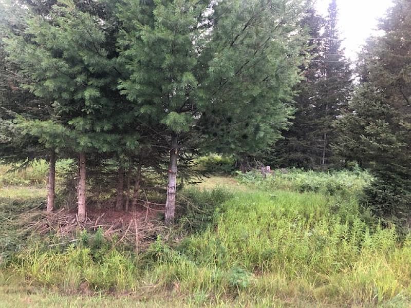 2nd image of 17700 Schmallers Rd