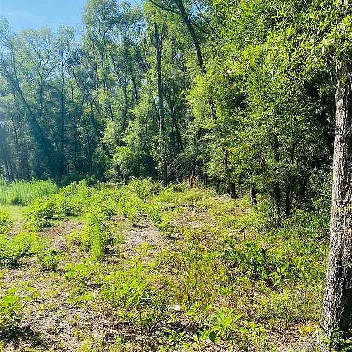 2nd image of 220 NE County Road 234