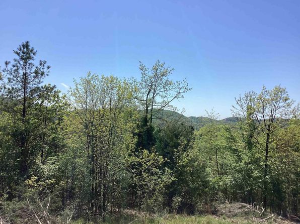 TRACT 4 Chaparral Ln, Mena, AR 71953