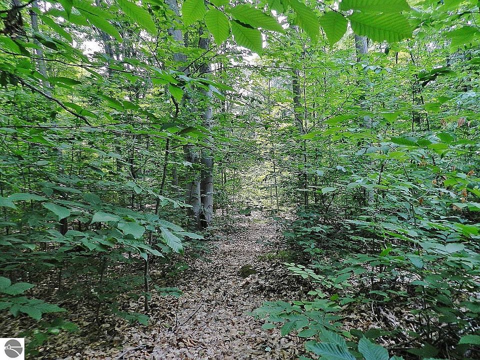 0 Duck Lake Dam Rd, Grawn, MI 49637 MLS 1913866 Zillow