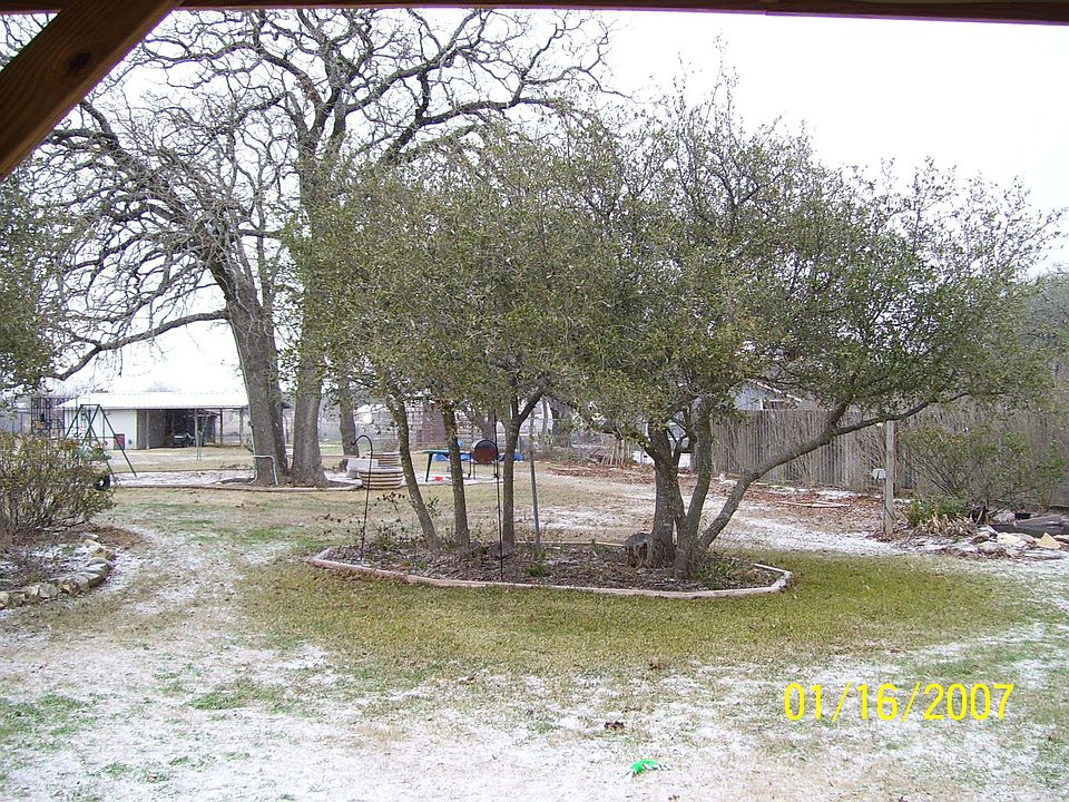 back yard winter
