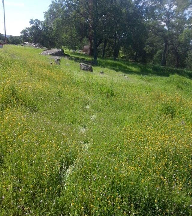 1st image of 56 Deer Hollow