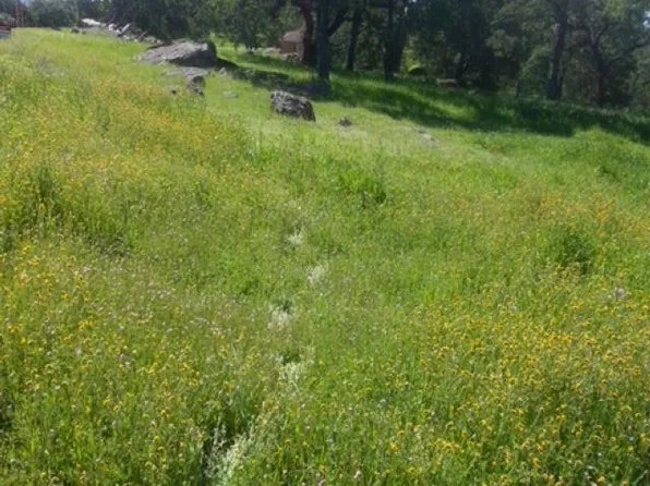 56 Deer Hollow, Browns Valley, CA 95918