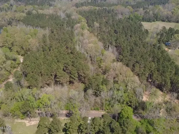 1256 Barnes Rd, Canton, MS 39046