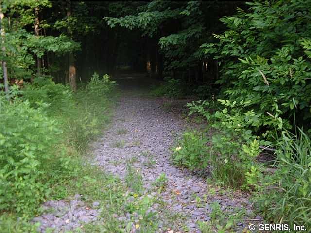 2nd image of 229 Golden Rd