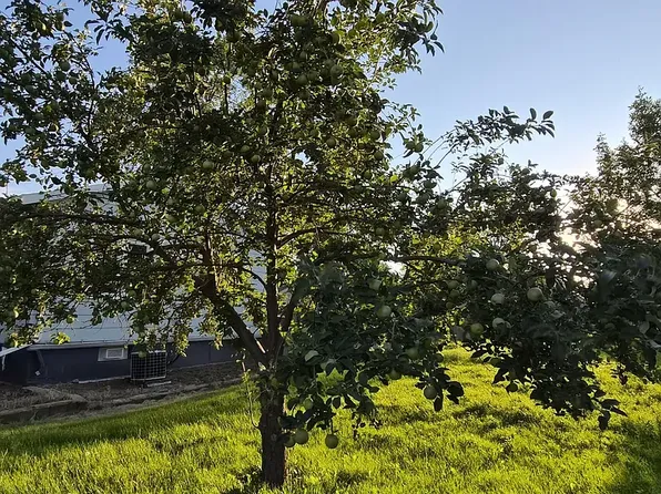 230 B St N, Richardton, ND 58652