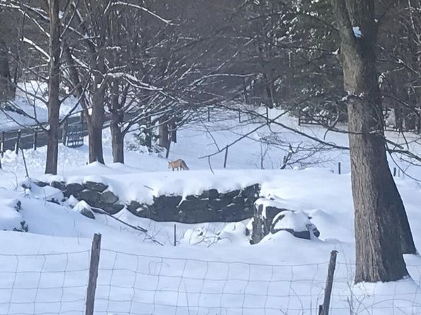 61 Masterson Rd, Whately, MA 01093