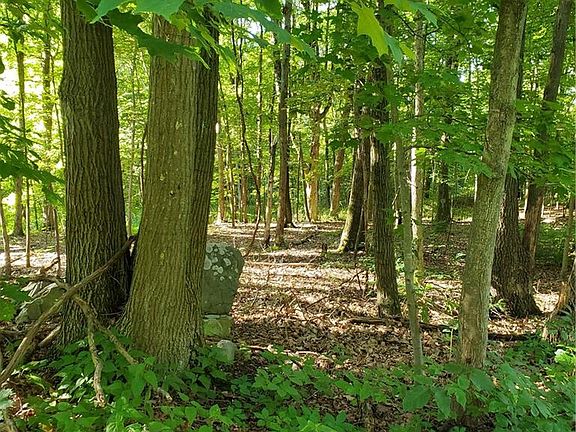 3rd image of 1187 Lakes Rd
