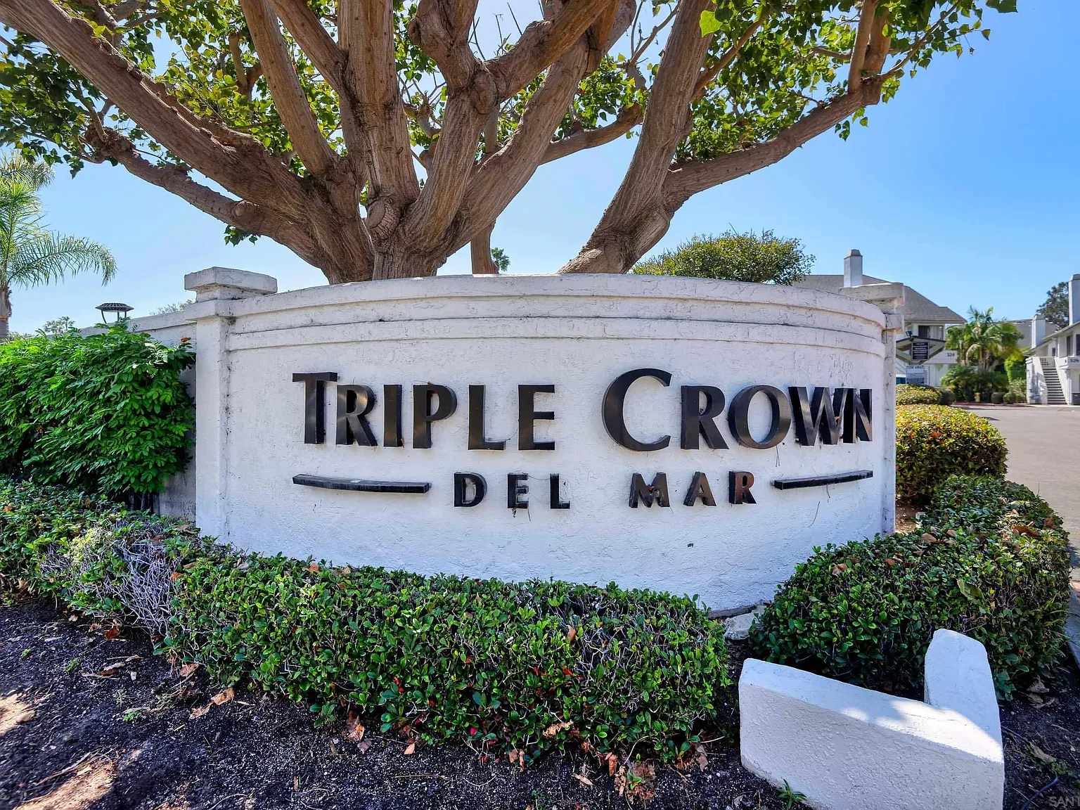 Triple Crown Del Mar — Photo 1