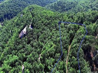 124 Davey Crockett Rd, Fairview, NC 28730