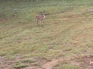 131 Hillcrest Dr, Mc Caysville, GA 30555