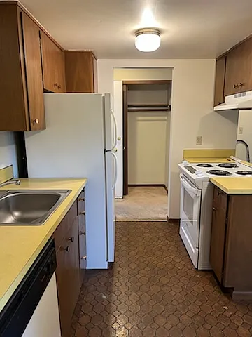 1 bed, $950 — Photo 2
