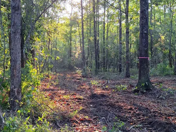 26 Highway, Wiggins, MS 39577