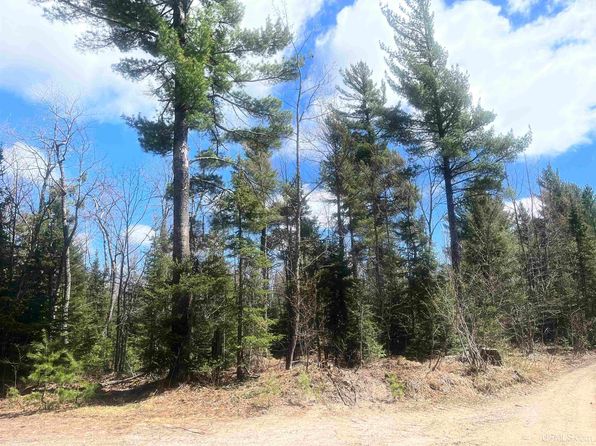 480 Acres Off, Michigamme, MI 49861