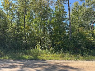 103 Sherwood St, Hale, MI, 48739