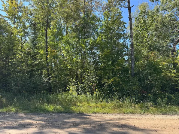 103 Sherwood St, Hale, MI 48739