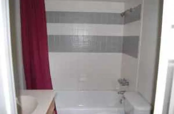 1 bed, $800 — Photo 3