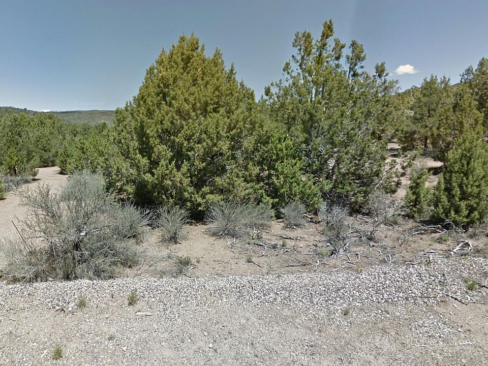 2nd image of E Forest Dr