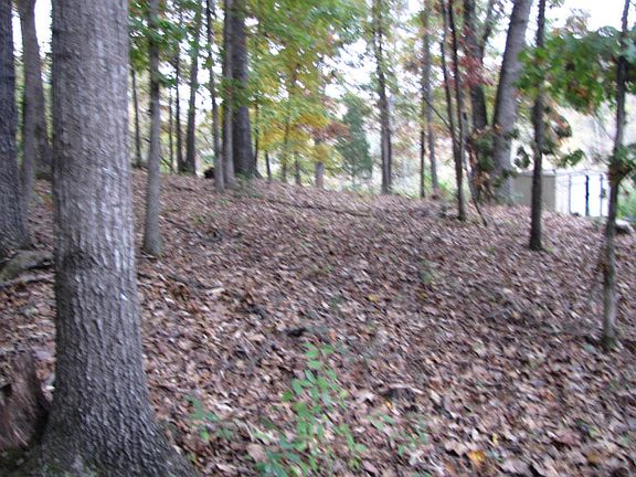 2nd image of 325 Mahala Road