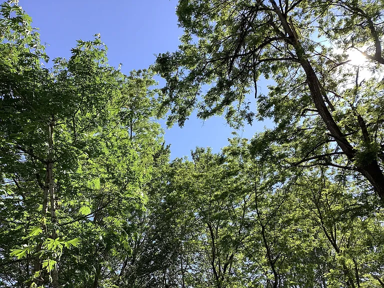 Foster Commons — Photo 23