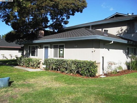 3rd image of 34854 Starling Dr APT 1