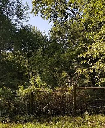 3rd image of 2268 County Road 316
