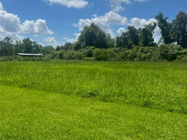 49220 Woodhaven Rd, Tickfaw, LA 70466