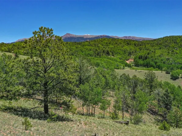 46 Hobo Court LOT 67, Cripple Creek, CO 80813