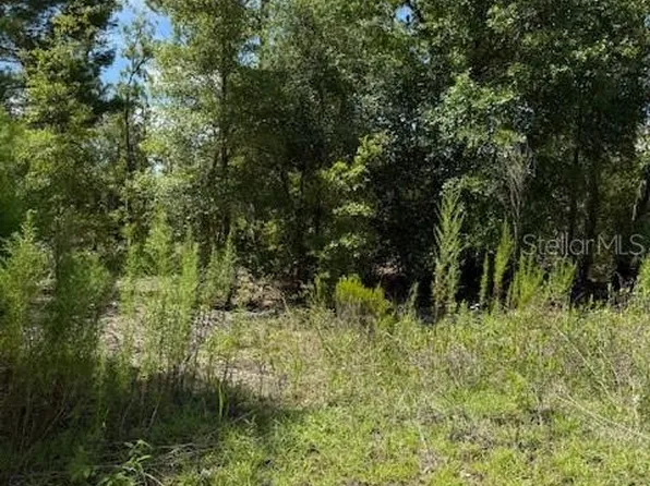 113 S Dakota St Lot 8, Hawthorne, FL 32640