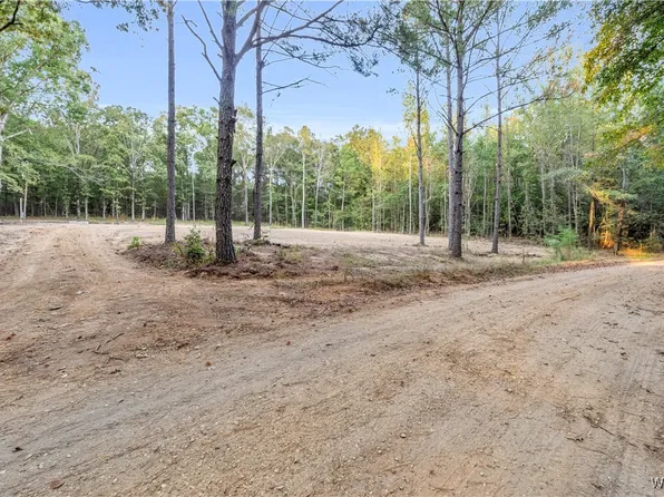 N/a Liberty Church Rd, Millport, AL 35576