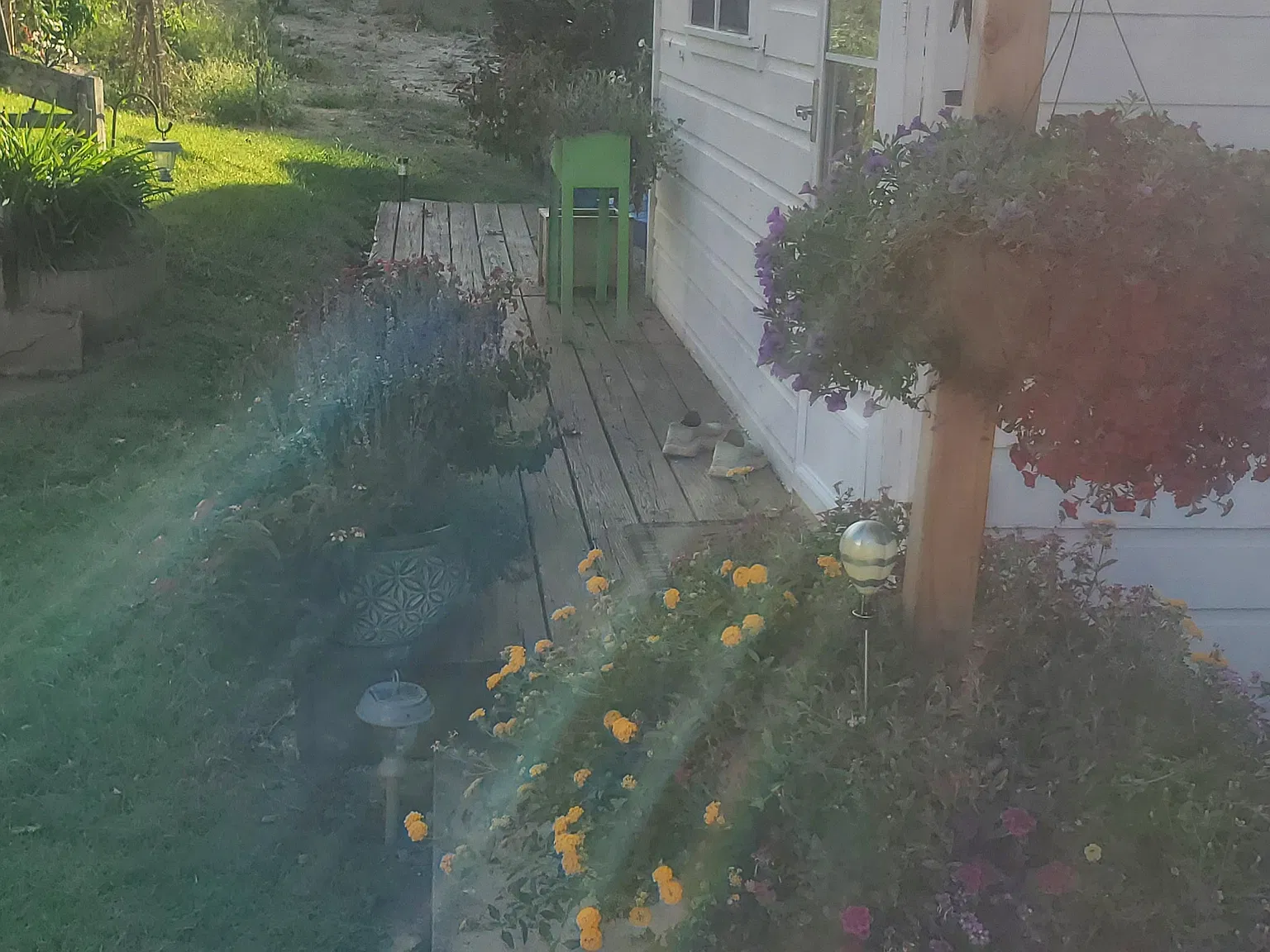 1 bed, $1,000 — Photo 4