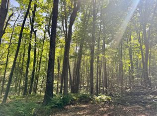 PARCEL 1D Deklan Dr, Mio, MI 48647