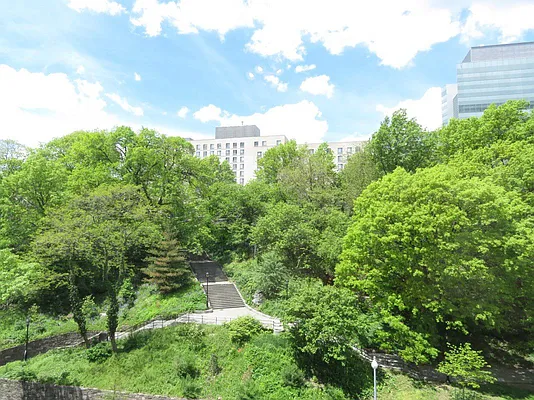 Rented by Bohemia Realty Group | media 15