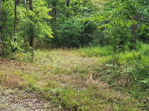 380 Conners Hollow Rd, Great Cacapon, WV 25422