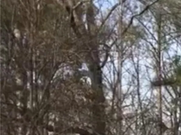 900 Fort Lee Rd, Petersburg, VA 23803