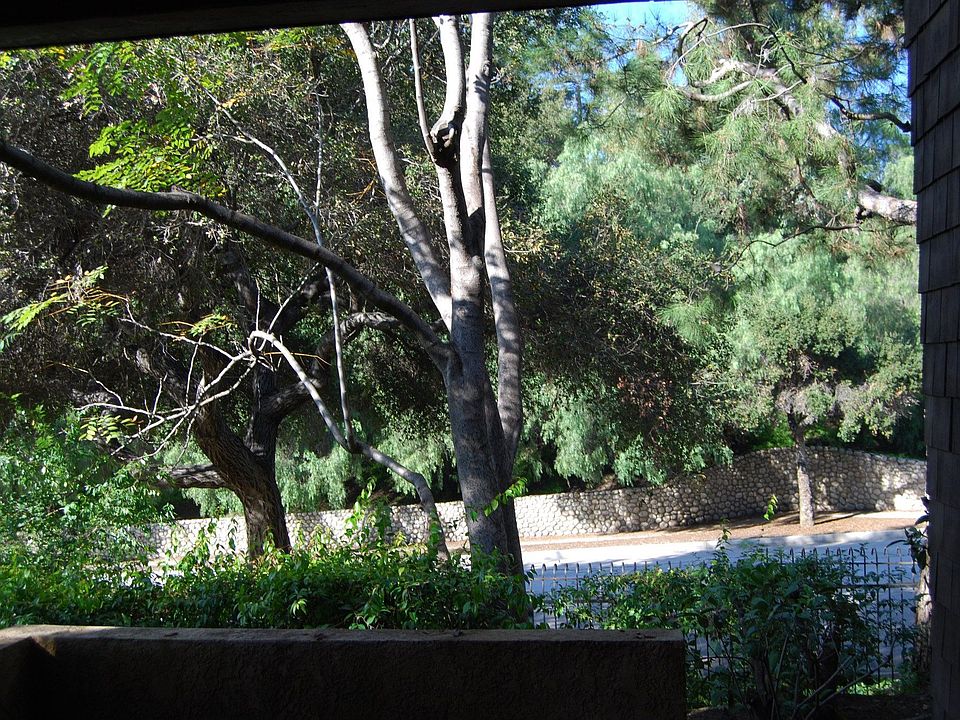 View from Living Room