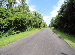 Manini St LOT 1169, Pahoa, HI 96778