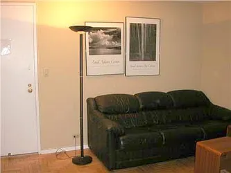 Rented by Furumoto Realty of New York City Inc