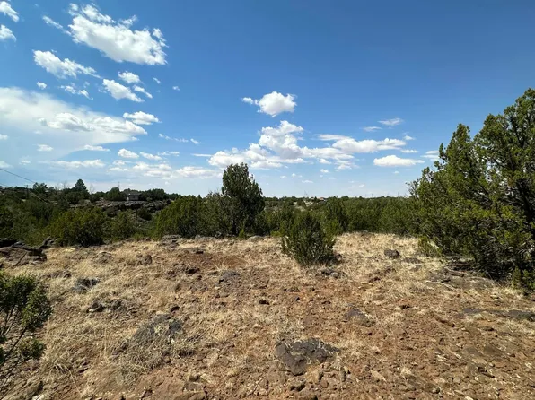 1776 Shad Pl, Show Low, AZ 85901