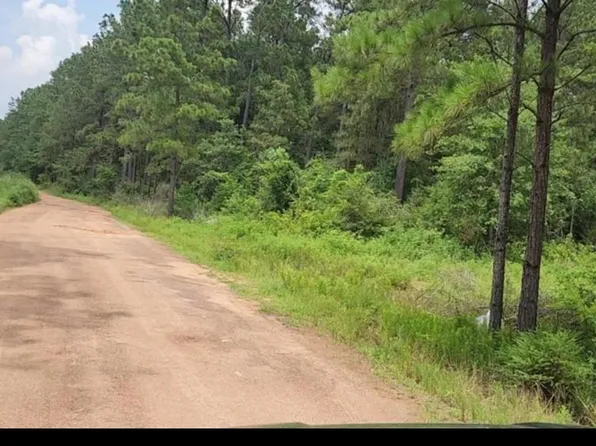 13 Scarlet Oak Dr Lot 13, Plantersville, TX 77363