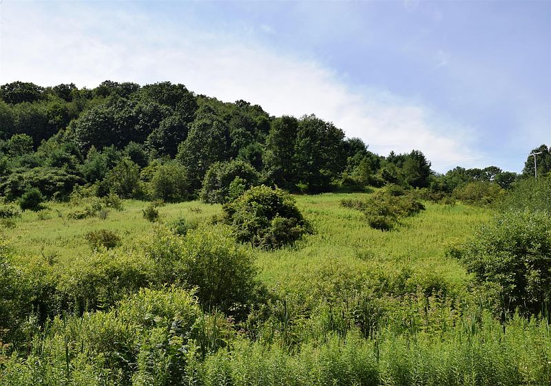 2nd image of 0 RANDALLS Road