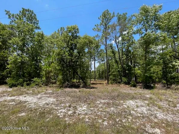 0 Bear Branch Drive, Currie, NC 28435