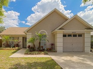 4623 Cabbage Palm Dr, Valrico, FL 33596