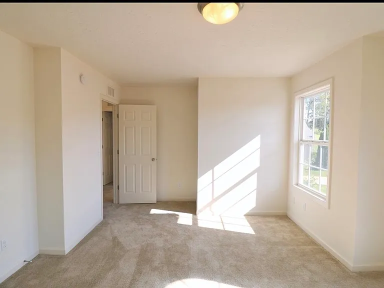 3904 Loblolly Way — Photo 18