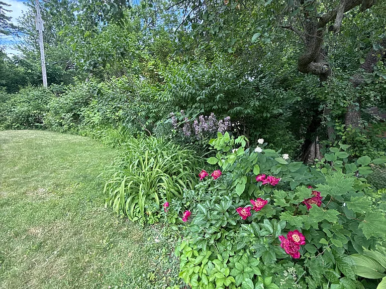 Beautiful landscaping