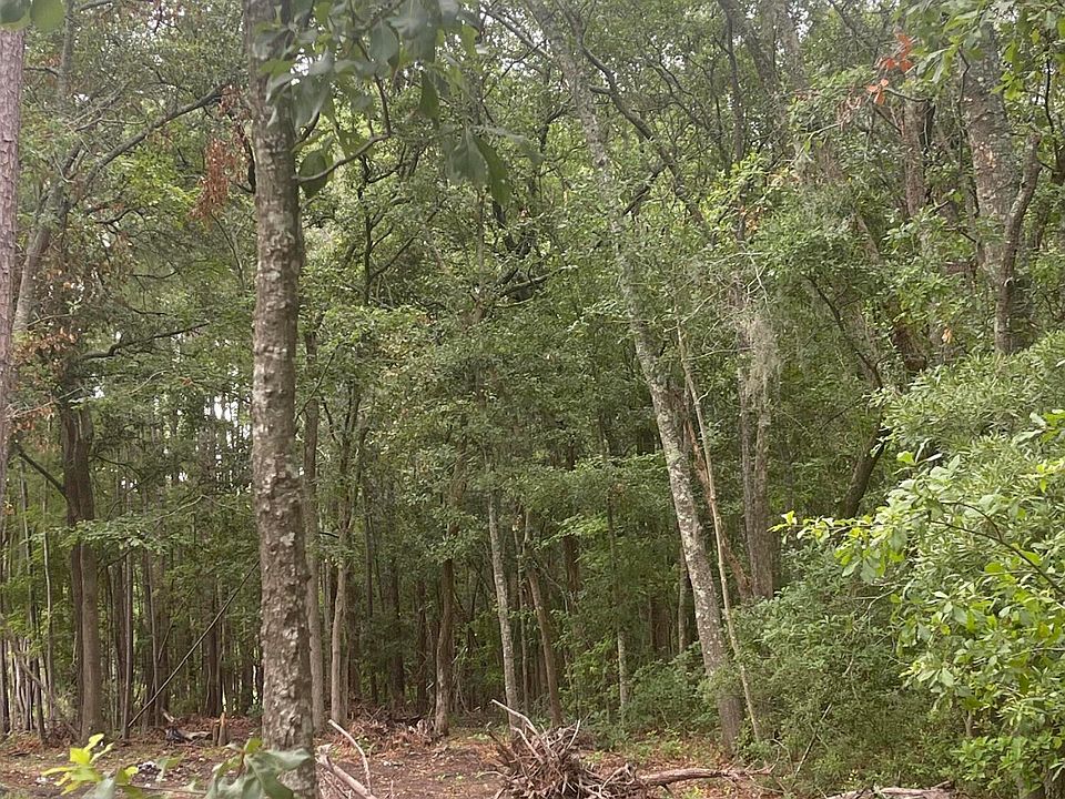 2nd image of Tbd Pine Grove Road