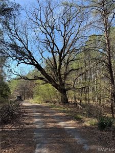 2 Highway 13, Nauvoo, AL, 35578
