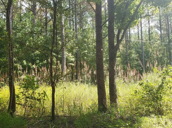 0 Leonard Ln, Bethel Springs, TN 38315