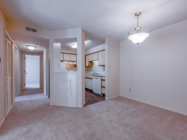 1180 Horseshoe Dr — Photo 5